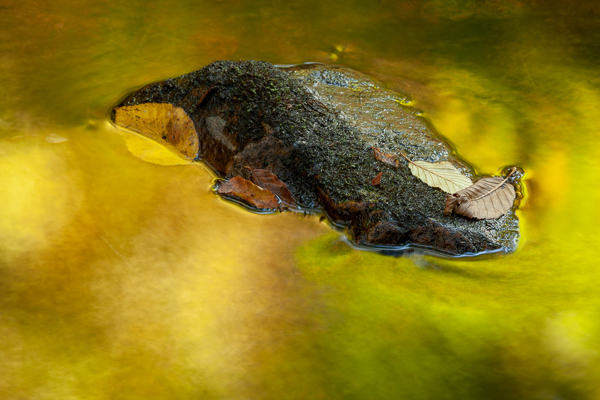 Autumn;Botanical;Boulder;Boulders;Brown;Calm;Fall;Fallen;Fallen Leaves;Gold;Green Mountain National Forest;Healing;Leaf;Minimalism;Mirror;Nature;Pastoral;Ripple;Rock;Rocks;Stone;Stones;Sunlight;Sunshine;United States;Veins;Vermont;Wabi Sabi;Water;White Rocks National Recreation Area;Yellow;botanicals;foliage;green;lake;landscape;leaves;oneness;orange;peaceful;pool;reflection;reflections;restful;serene;soothing;sunlit;tranquil;zen